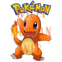 Pokemon Charmander Pokemon Charmander